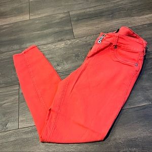 Torrid Bright Denim